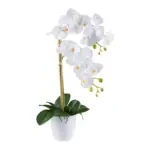 M&ouml;belix Kunstpflanze Orchideen Gr&uuml;n/Wei&szlig;, 56 cm
