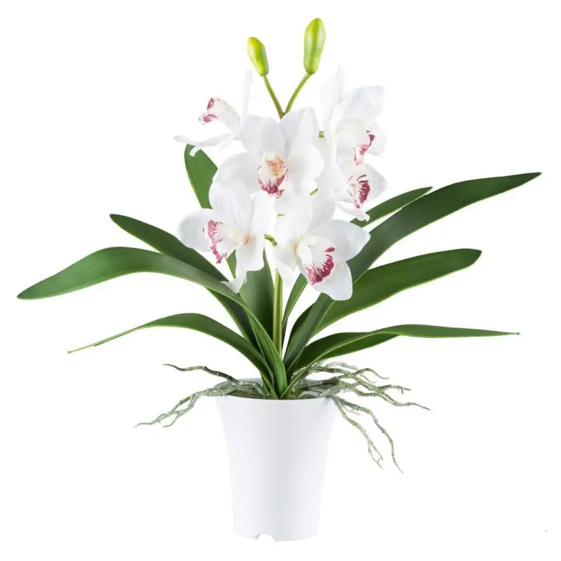 Kunstpflanze Orchideen Rosa/Wei&szlig;, 53 cm