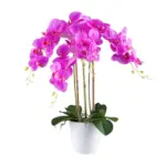 M&ouml;belix Kunstpflanze Orchideen Gr&uuml;n/Wei&szlig;/Pink, 62 cm