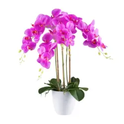 Kunstpflanze Orchideen Grün/Weiß/Pink, 62 cm