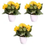 Möbelix Kunstpflanze Blühpflanzen Gelb/Grün/Weiß, 24 cm