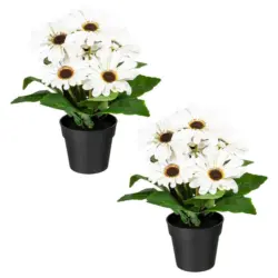 Kunstpflanze Bl&uuml;hpflanzen Creme/Gr&uuml;n/Schwarz, 27 cm