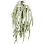 M&ouml;belix Kunstpflanze Grau/Gr&uuml;n, 80 cm