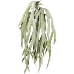 Kunstpflanze Grau/Gr&uuml;n, 80 cm