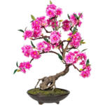 Möbelix Kunstpflanze Bonsai Braun/Grün/Pink, 50 cm