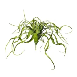 Kunstpflanze H&auml;ngepflanzen Gr&uuml;n, 70 cm