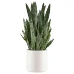 Möbelix Kunstpflanze Sukkulenten Gelb/Grau/Grün, 108 cm