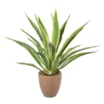 Möbelix Kunstpflanze Sukkulenten Creme/Grün/Naturfarben, 85 cm
