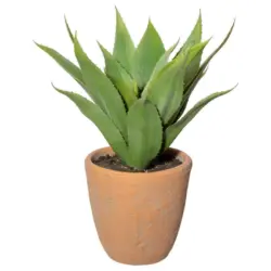 Kunstpflanze Sukkulenten Grün/Naturfarben, 40 cm