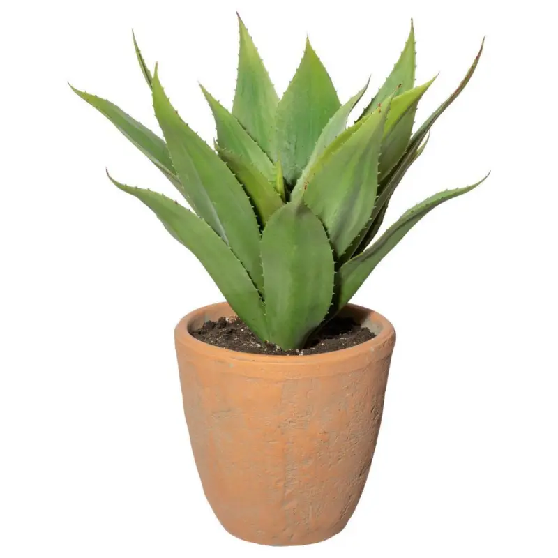 Kunstpflanze Sukkulenten Grün/Naturfarben, 40 cm