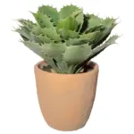 Möbelix Kunstpflanze Sukkulenten Grün/Naturfarben, 32 cm