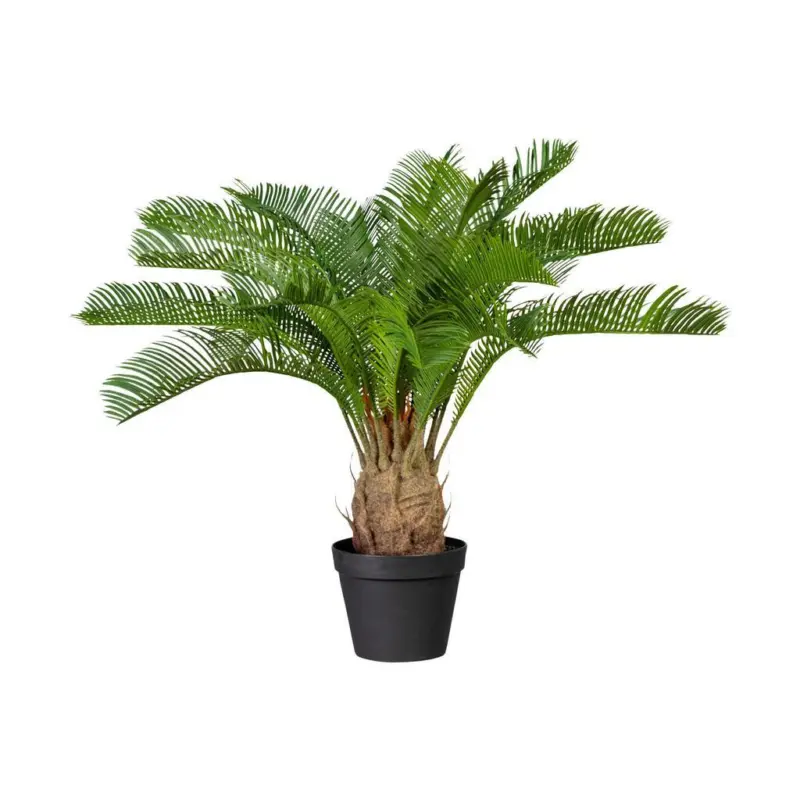 Kunstpflanze Palmen Grün/Braun/Schwarz, 60 cm