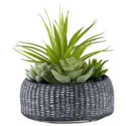 Kunstpflanze Sukkulenten Anthrazit/Grün, 18 cm