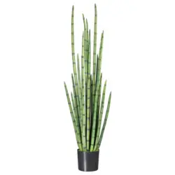 Kunstpflanze Sukkulenten Grün/Schwarz, 140 cm