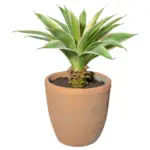 Möbelix Kunstpflanze Sukkulenten Creme/Grün/Naturfarben, 35 cm