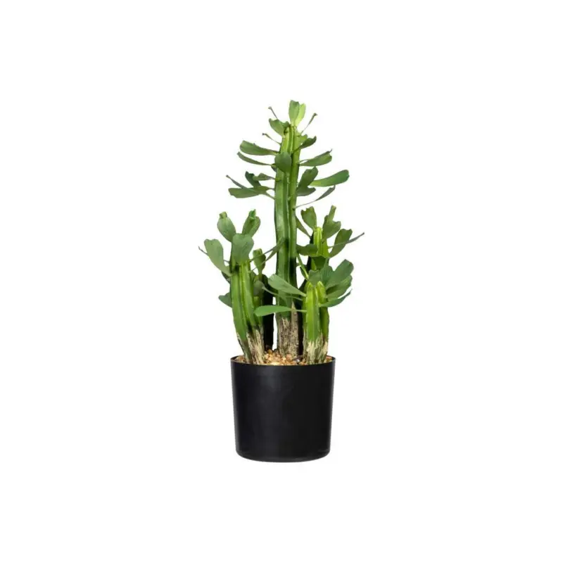 Kunstpflanze Grün/Schwarz, 40 cm