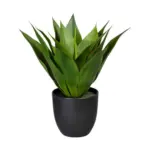 Möbelix Kunstpflanze Sukkulenten Grün/Schwarz, 36 cm