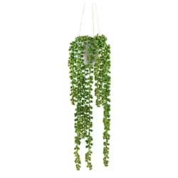 Kunstpflanze Sukkulenten Grün/Grau, 50 cm