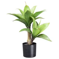 Kunstpflanze Sukkulenten Grün/Braun/Schwarz, 45 cm