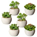 M&ouml;belix Kunstpflanze Sukkuleten Grau/Gr&uuml;n, 6 cm