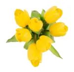 Kaufland хипермаркет Букет лалета различни цветове - до 08-03-26