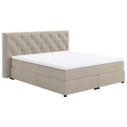 Boxspringbett Castle Beige Lxf: ca. 160x200 cm