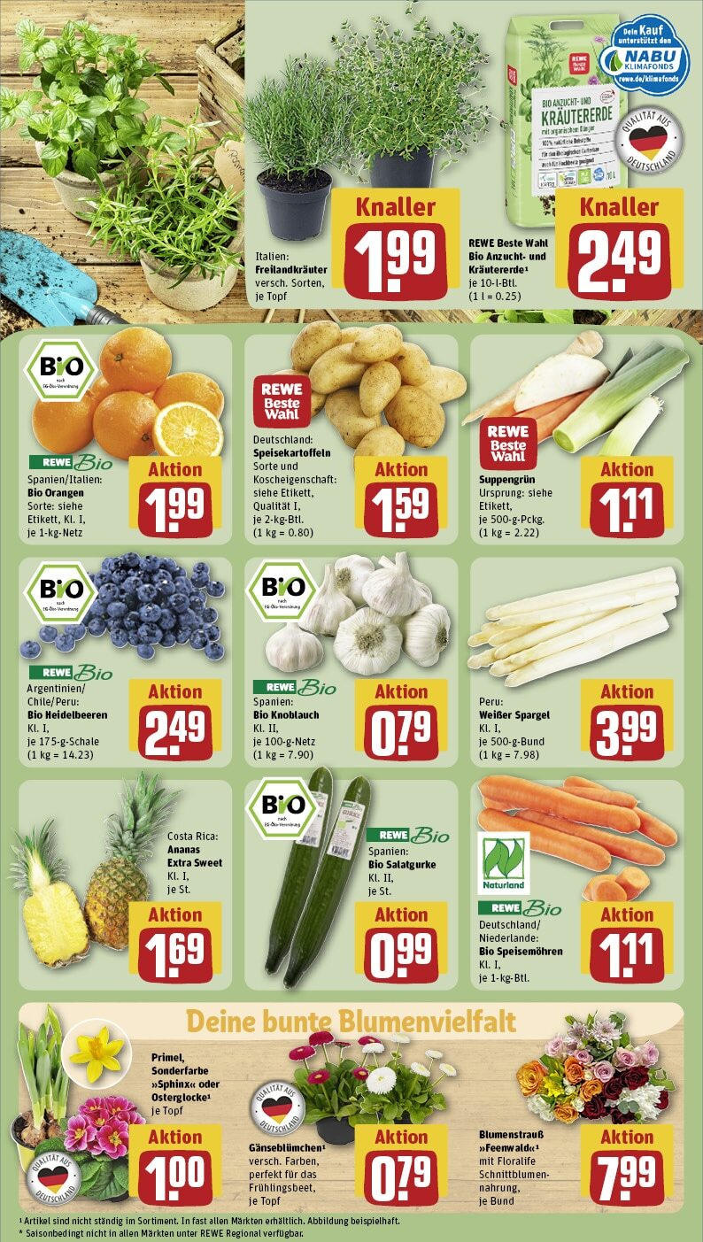 Rewe - Berg, Perchastraße 3 (ab 17.02.2025) zum Blättern » Angebote | Seite: 9 | Produkte: Orangen, Ananas, Spargel, Knoblauch