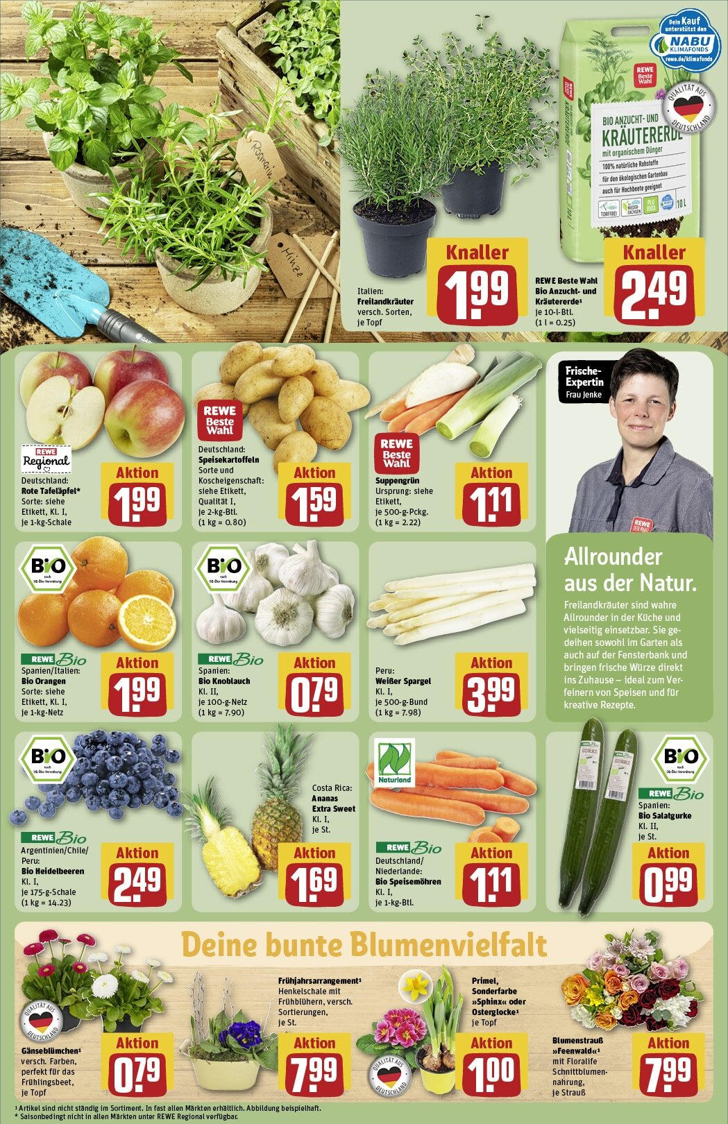 Rewe - Pegnitz, Nürnberger Straße, e 20 (ab 17.02.2025) zum Blättern » Angebote | Seite: 9 | Produkte: Ananas, Spargel, Heidelbeeren, Knoblauch