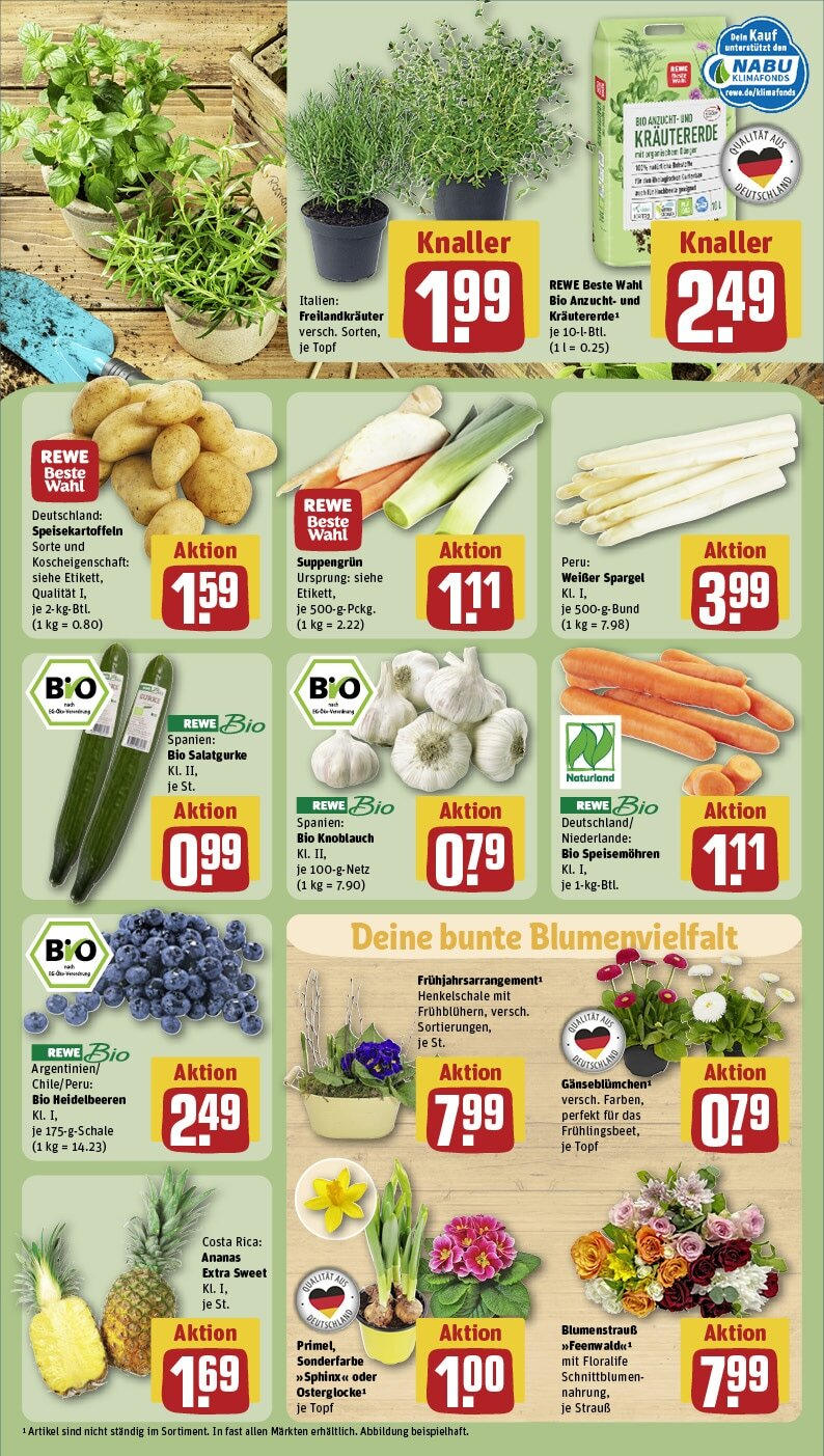 Rewe - Rewe: Wochenangebote (ab 16.02.2025) zum Blättern » Angebote | Seite: 9 | Produkte: Ananas, Spargel, Heidelbeeren, Knoblauch