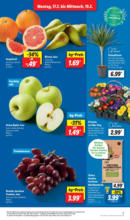 Lidl Lidl: Wochenangebote - bis 22.02.2025