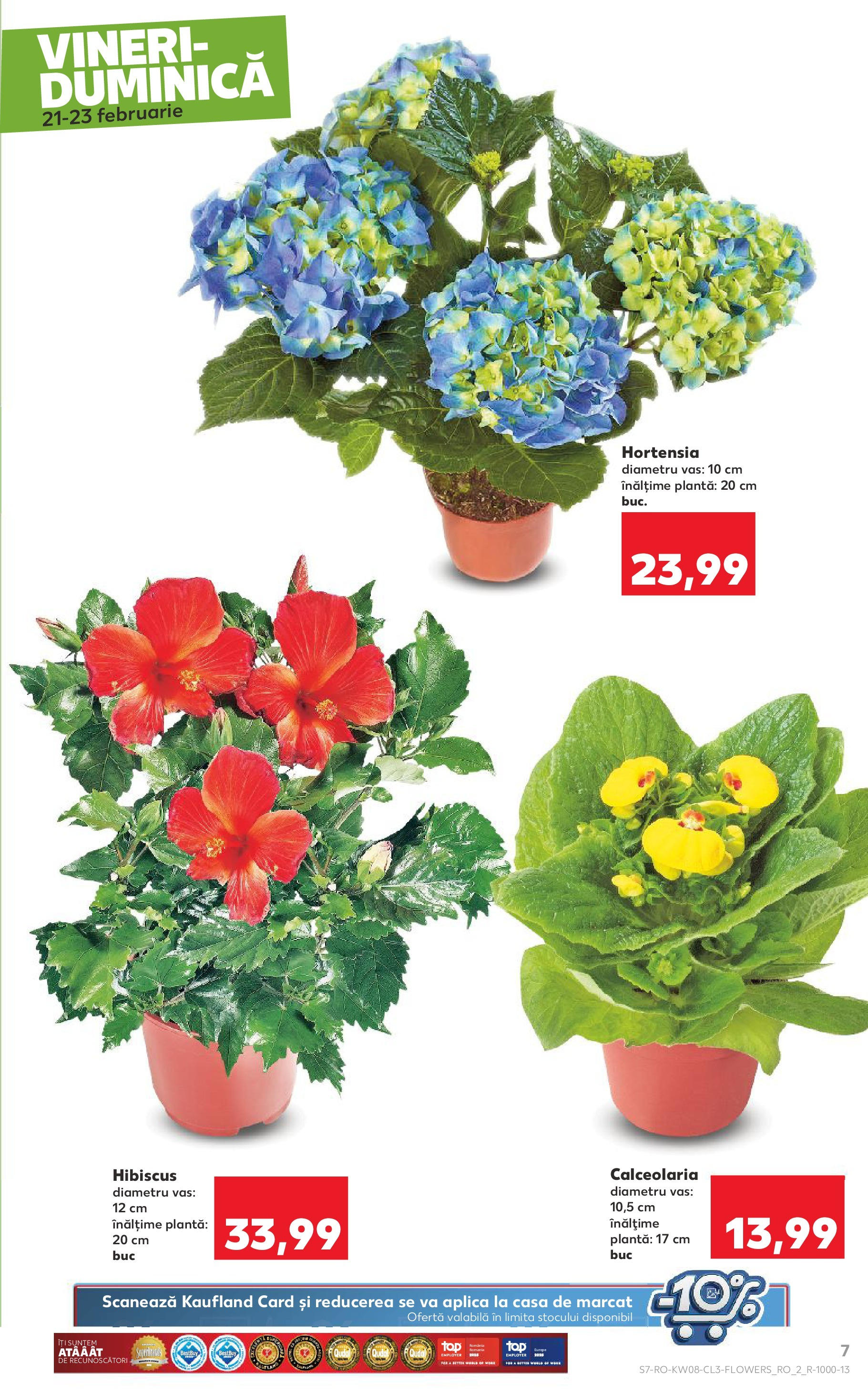 Catalog Kaufland - Bucureşti 21.02.2025 - Revista si Oferta | Pagină: 7