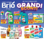 Briò Shop Grandi Sconti - al 21.02.2025