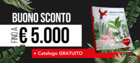 Buono sconto