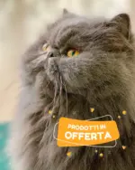 Moby Dick Prodotti in offerta - al 03.03.2025