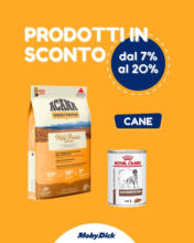 Prodotti in offerta