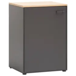 Mehrzweckschrank Antharzit/Eichefarben B:67,1cm