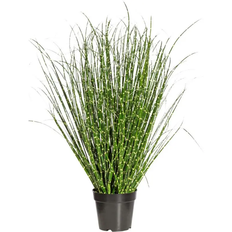 Kunstpflanze, Schilfgras, Gelb Grün, inkl. Topf, H: 80 cm