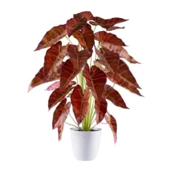 Kunstpflanze, Braun, Grün inkl. Topf, Weiß, H: 68 cm