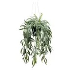 Möbelix Kunstpflanze, Eukalyptus Dunkelgrün, H: 65 cm