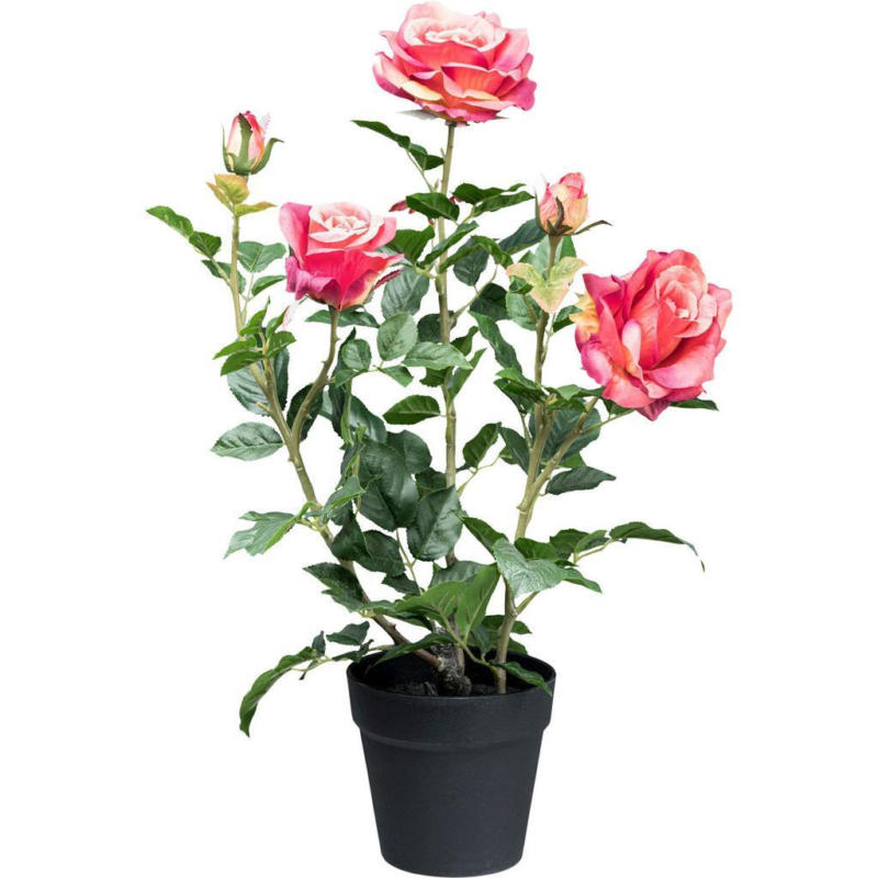 Kunstpflanze, Rose inkl. Topf, H: 58 cm