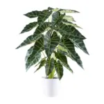 M&ouml;belix Kunstpflanze, Gr&uuml;n inkl. Topf, Wei&szlig;, H: 68 cm