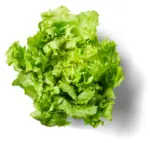 Kaufland хипермаркет Къдрава маруля Клас: I - до 06-12-25