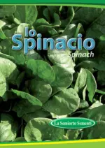 La Semiorto Sementi CATALOGO SPINACI - al 31.12.2025