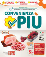 Conad Superstore CONVENIENZA PIU - al 25.02.2025