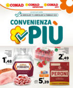 Conad Superstore Convenienza Più - al 26.02.2025