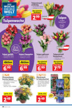 Lidl Österreich Lidl: Flugblatt in deiner Nähe - ab 28.02.2025