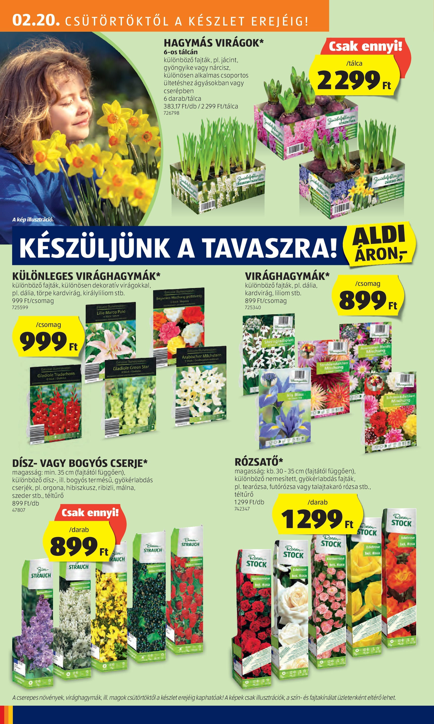 Aldi Akciós újság - 2025.02.20. -tól/töl > akció, lapozható szórólap 🛍️ | Oldal: 34 | Termékek: Szeder