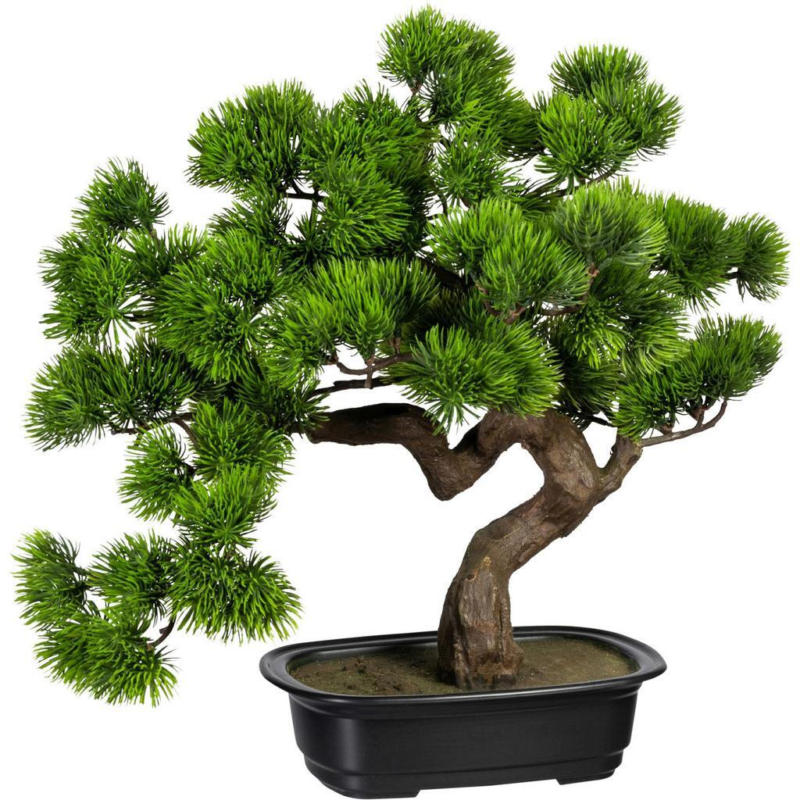 Kunstpflanze Bonsai inkl. Topf D: 22 cm