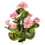 Möbelix Kunstpflanze Geranie H: 40 cm