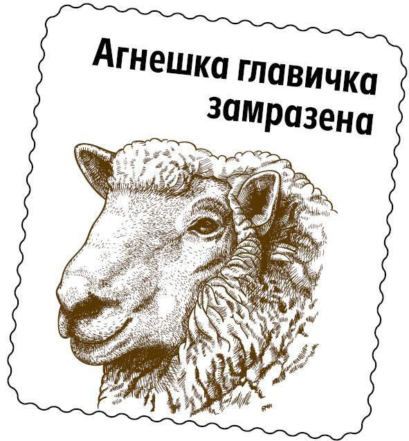 Агнешка главичка